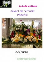 /album/galerie-de-photos-deuil/la-belle-orchidee-13-jpg/